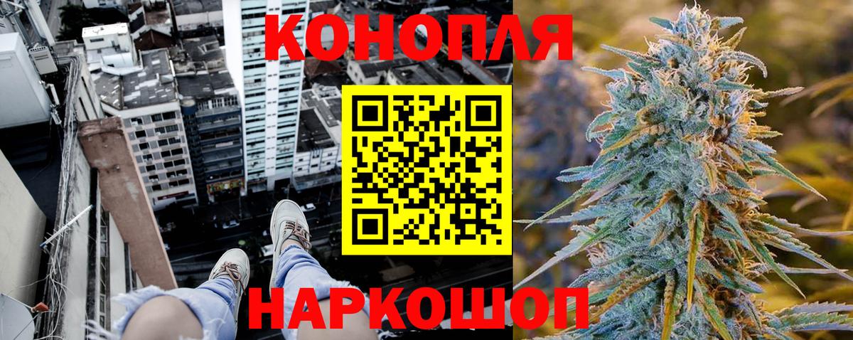 МАРИХУАНА план Шарыпово